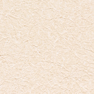 XR-567