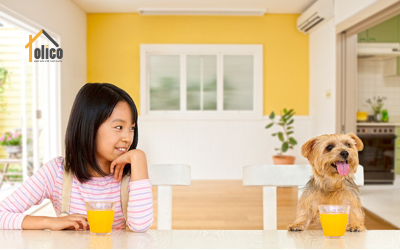 Ưu điểm giấy dán tường màu vàng Nhật Bản