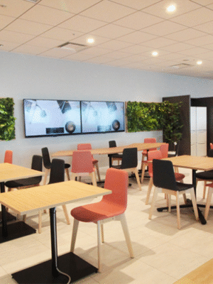 giấy dán tường văn phòng công ty giấy dán tường văn phòng công ty