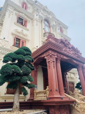 Dự án thay giấy dán tường